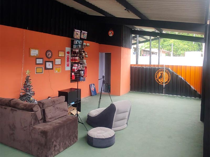 curso-alem-do-adestramento-4